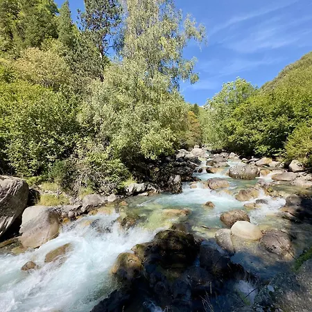 El Tilo De Benas